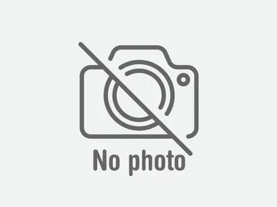 Artist image for nautilics